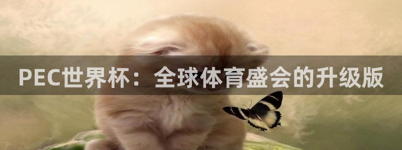 2026世界杯亞洲區預選賽：PEC世界杯：全球體育盛會的升級版