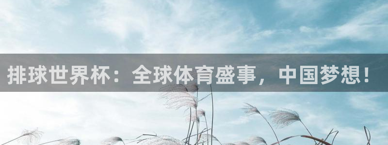 世界杯2026比賽時間表：排球世界杯：全球體育盛事，中國夢想！