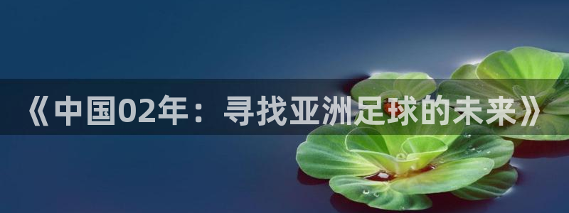 世界杯2026賽制：《中國02年：尋找亞洲足球的未來》