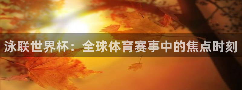 2026年世界杯直播平臺：泳聯世界杯：全球體育賽事中的焦點時刻