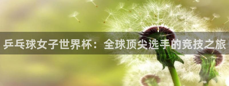 歐洲區世界杯預選賽：乒乓球女子世界杯：全球頂尖選手的競技之旅
